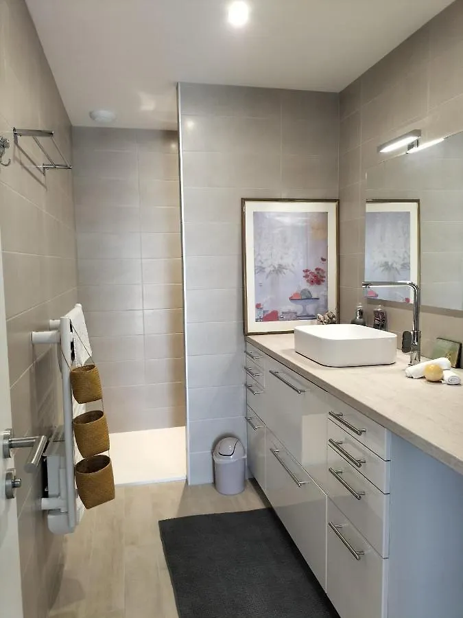 Apartment Cosy Lodge Gite Appartement Meuble City Break Toulouse